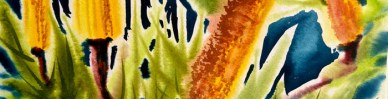 Australian-native-flowers_web